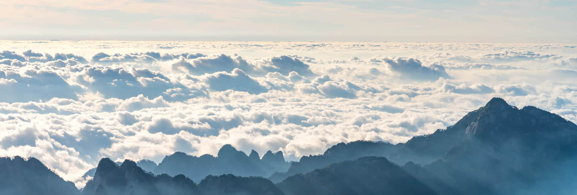 开云(中国)简介